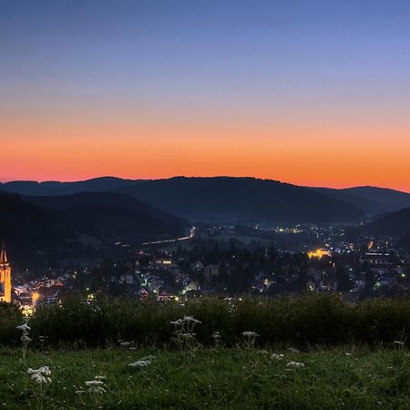 Drei Tannen - Wohnung 11 - Apartmenthaus, Titisee, Feldberg Dış mekan fotoğraf