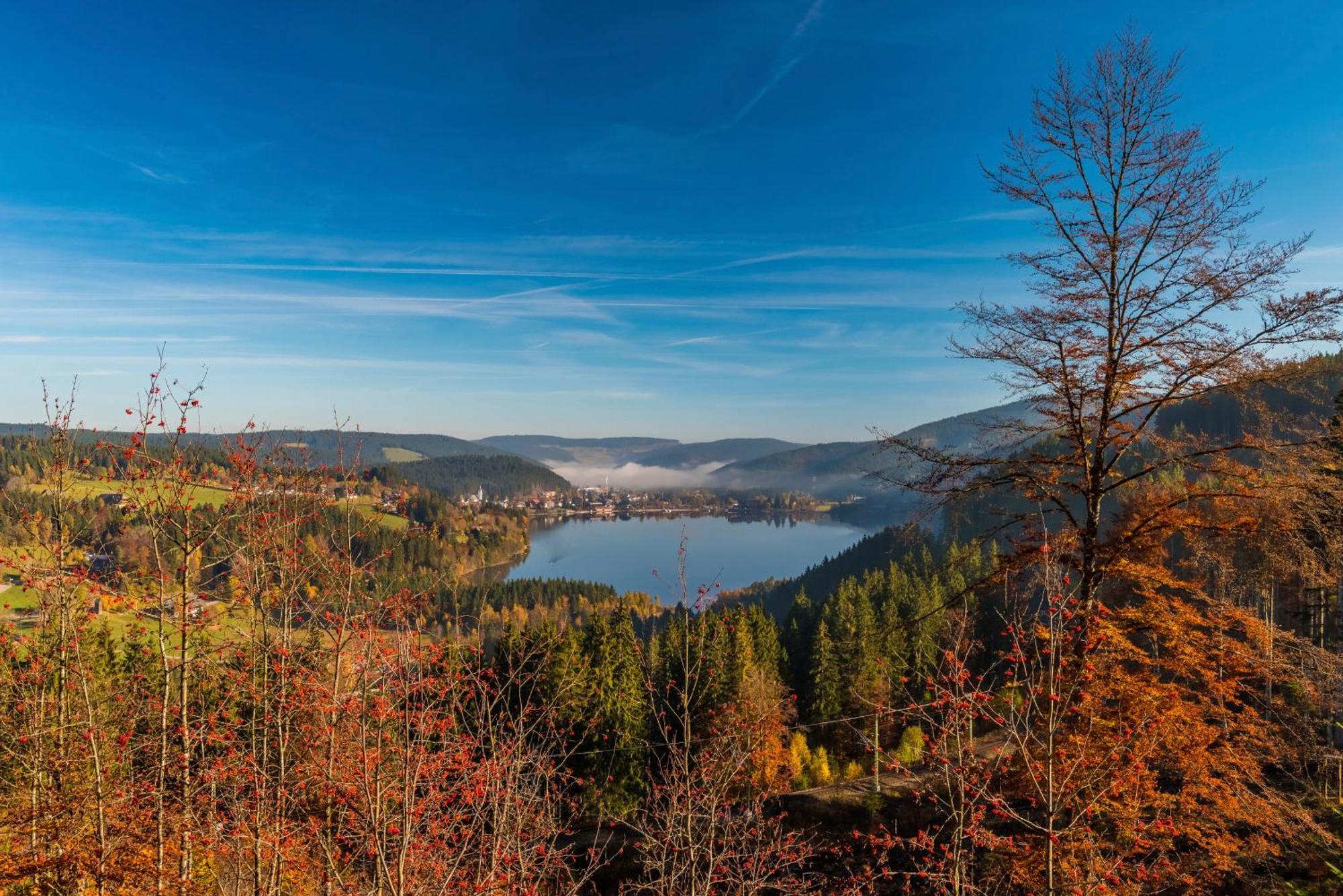 Drei Tannen - Wohnung 11 - Apartmenthaus, Titisee, Feldberg Dış mekan fotoğraf