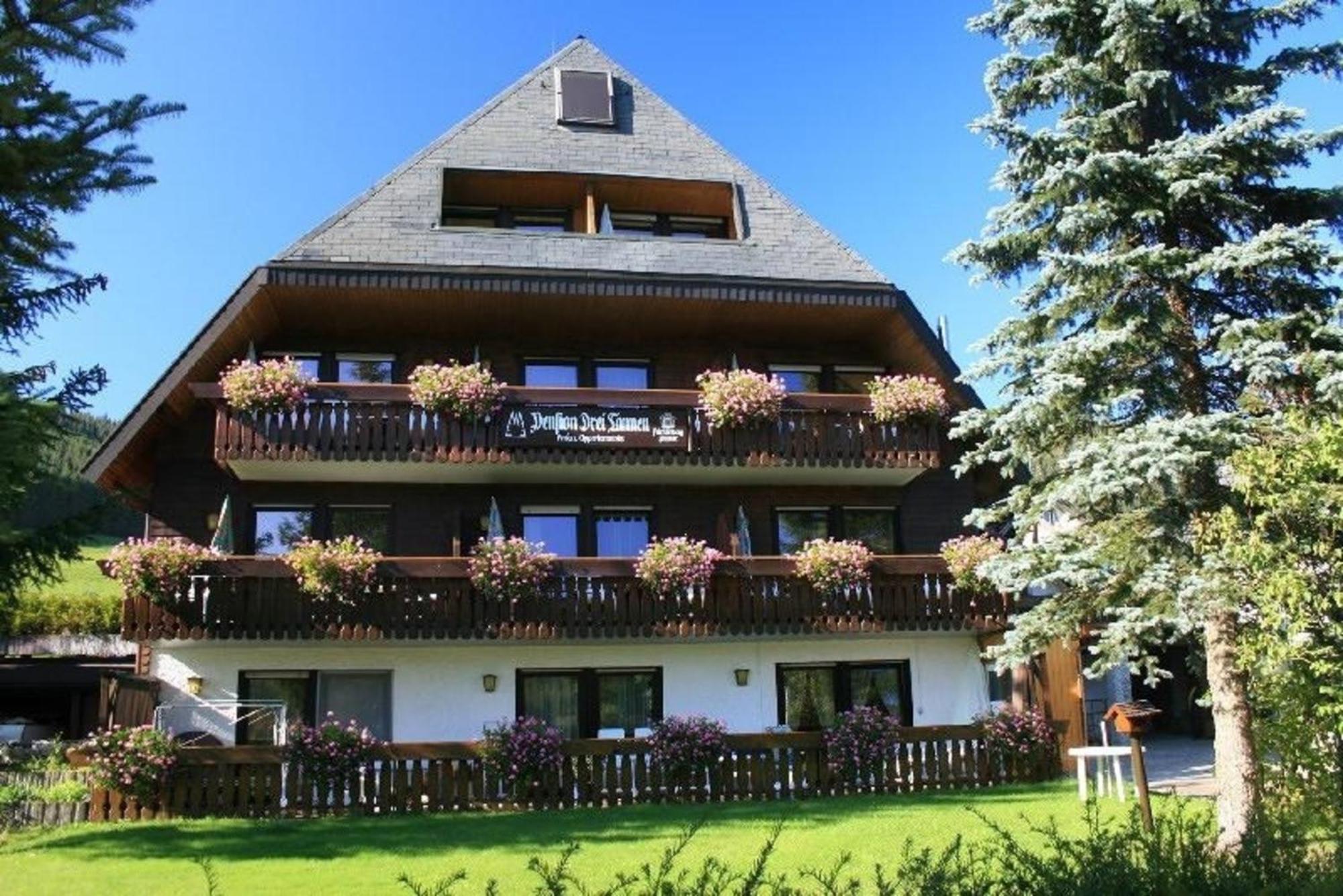 Drei Tannen - Wohnung 11 - Apartmenthaus, Titisee, Feldberg Dış mekan fotoğraf