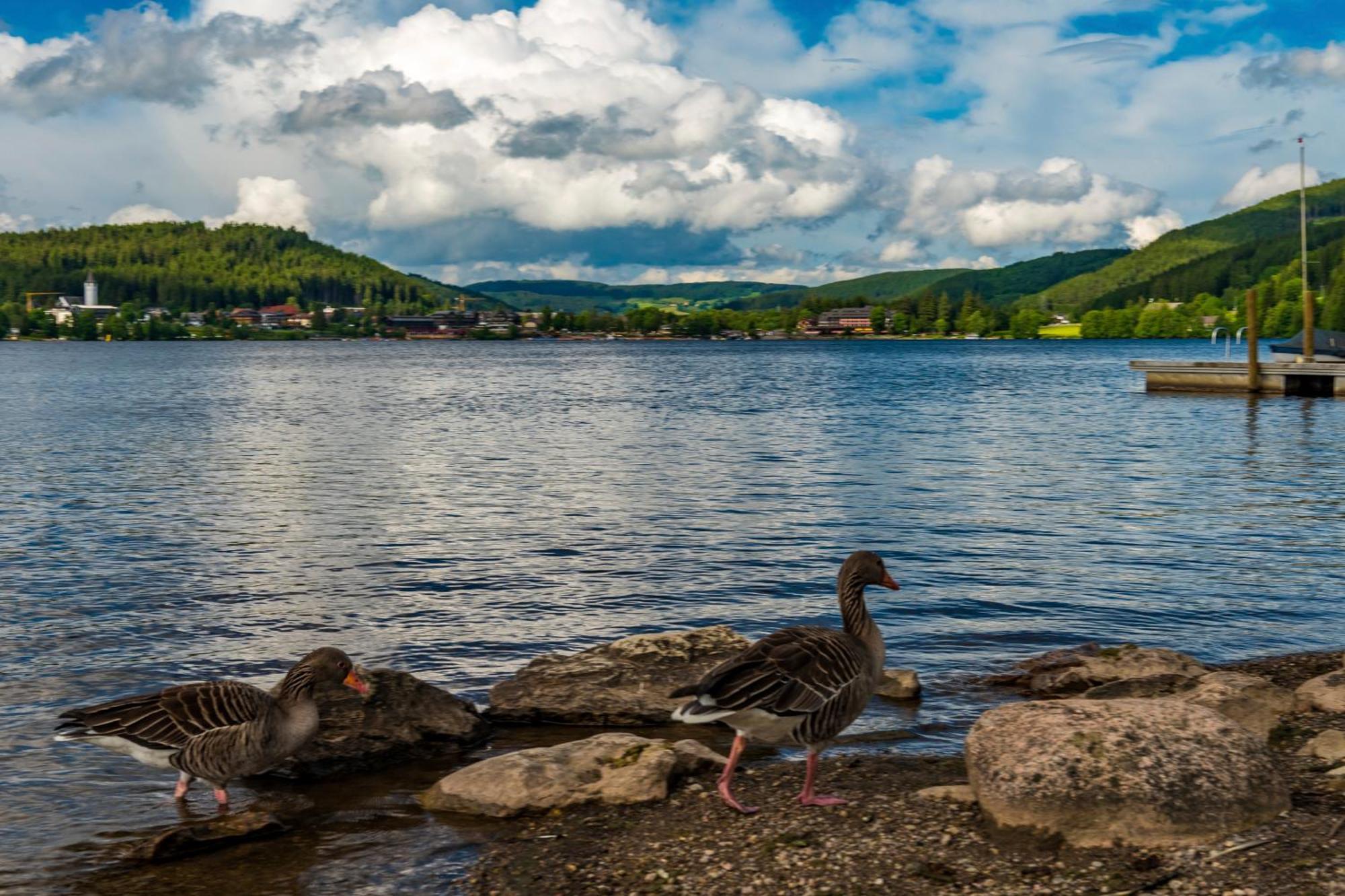 Drei Tannen - Wohnung 11 - Apartmenthaus, Titisee, Feldberg Dış mekan fotoğraf